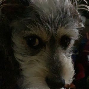 Meet your Posher, Lori